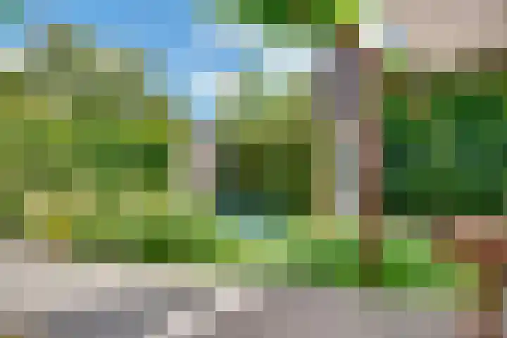 De Vroonhof 3 Werkhoven thumbnail 45