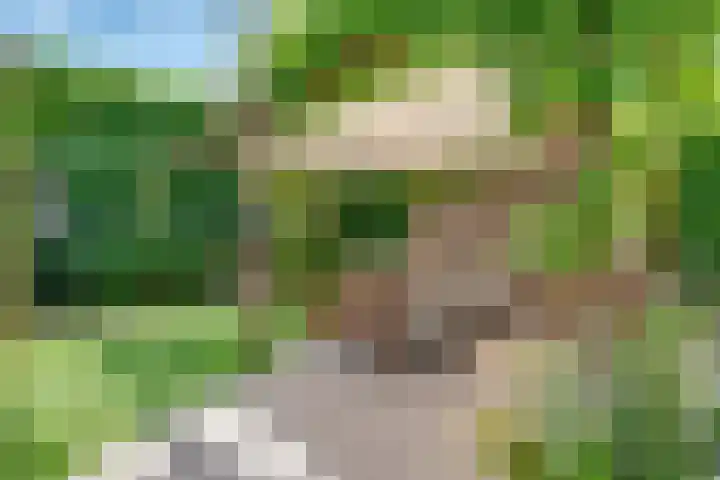 De Vroonhof 3 Werkhoven thumbnail 47
