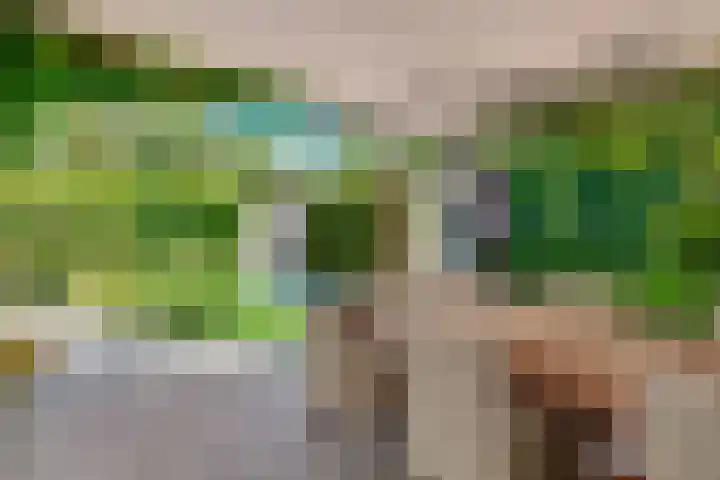 De Vroonhof 3 Werkhoven thumbnail 49