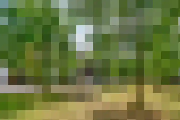 De Vroonhof 3 Werkhoven thumbnail 5