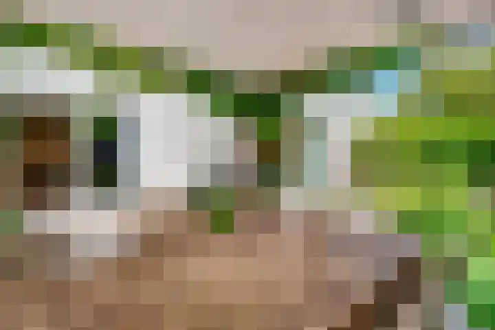 De Vroonhof 3 Werkhoven thumbnail 50