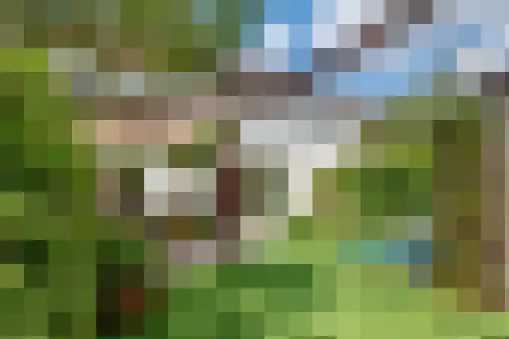 De Vroonhof 3 Werkhoven thumbnail 51