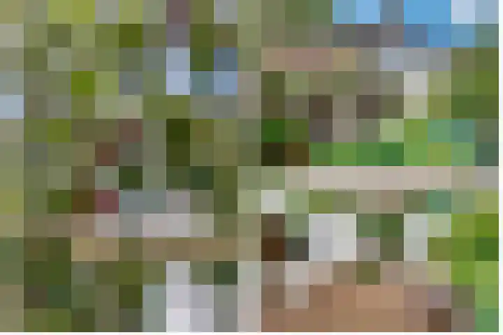 De Vroonhof 3 Werkhoven thumbnail 55
