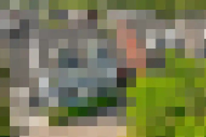 De Vroonhof 3 Werkhoven thumbnail 57
