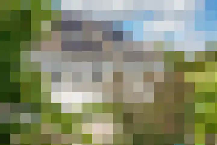 De Vroonhof 3 Werkhoven thumbnail 58