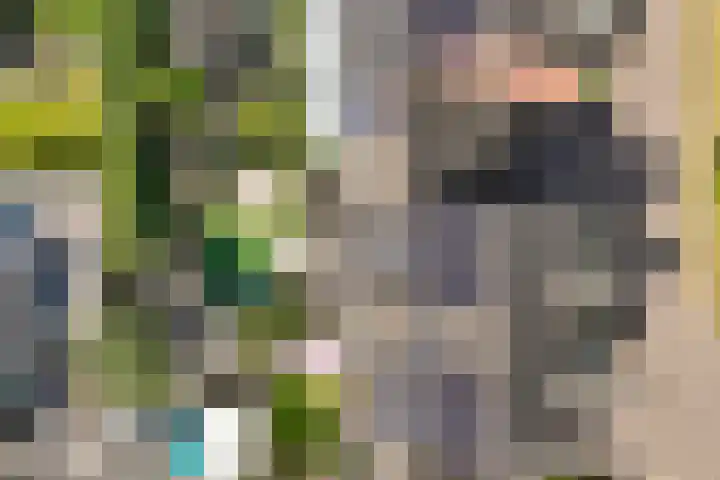 De Vroonhof 3 Werkhoven thumbnail 59
