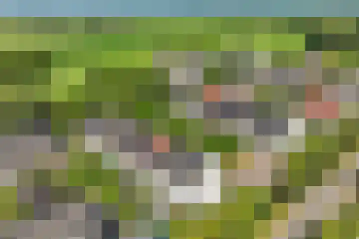 De Vroonhof 3 Werkhoven thumbnail 60