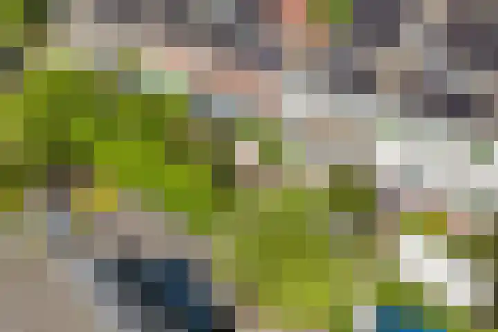 De Vroonhof 3 Werkhoven thumbnail 61