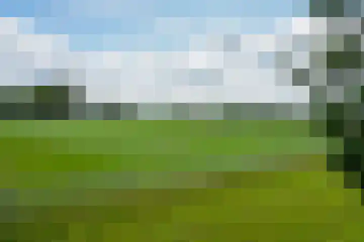 De Vroonhof 3 Werkhoven thumbnail 62