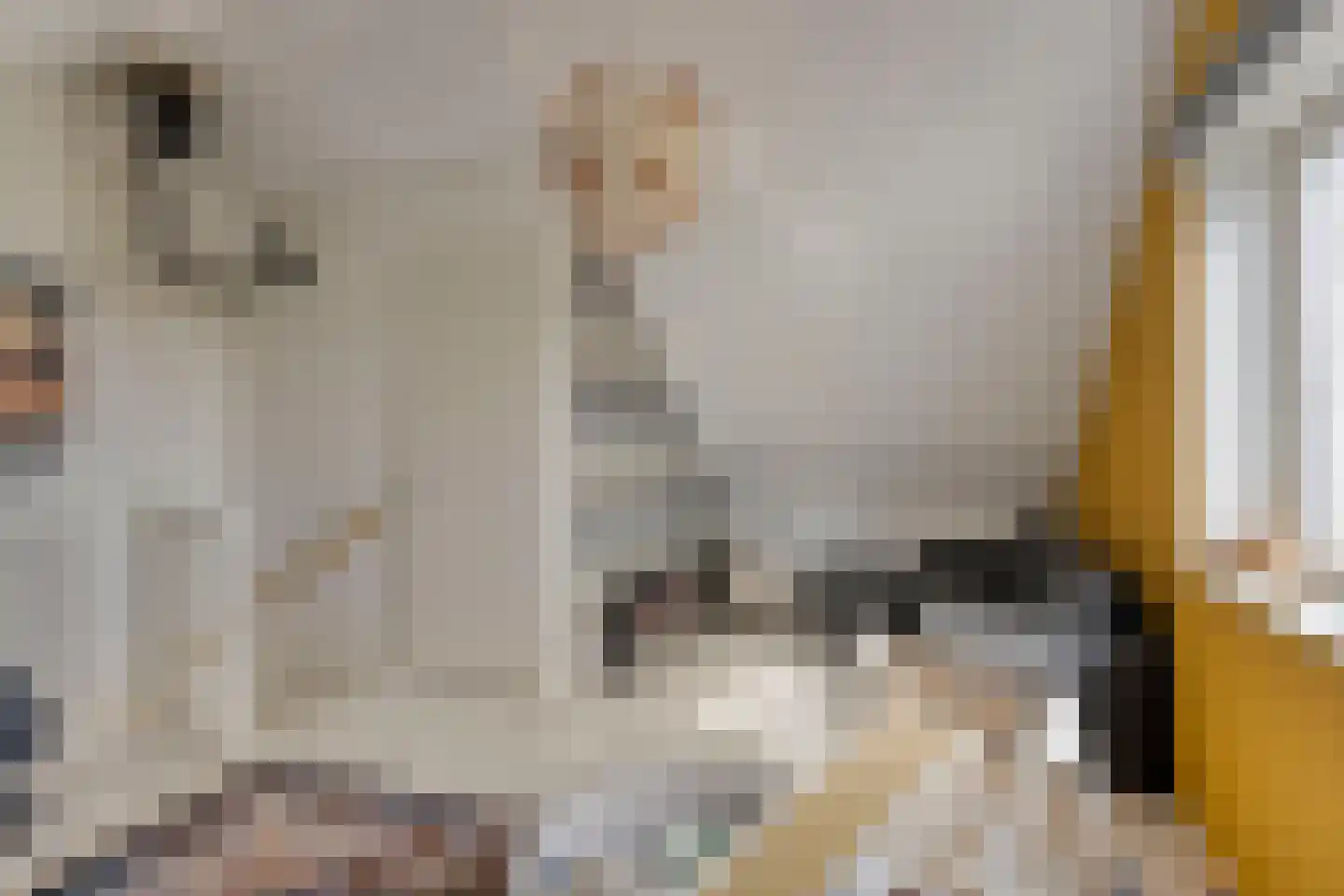 De Vrouwehof 18 Weert thumbnail 32