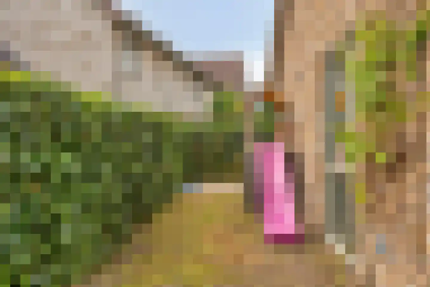 De Vrouwehof 18 Weert thumbnail 38