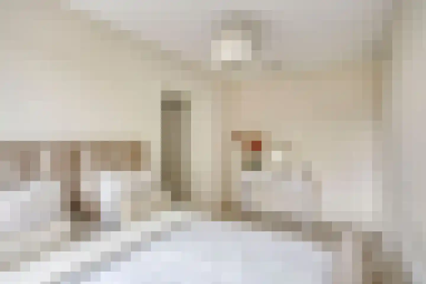 De Vrouwehof 18 Weert thumbnail 4