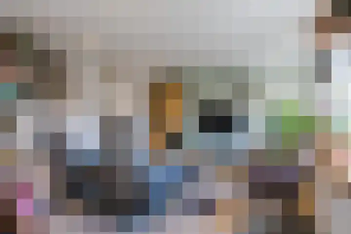 De Vucht 56 Rijen thumbnail 19