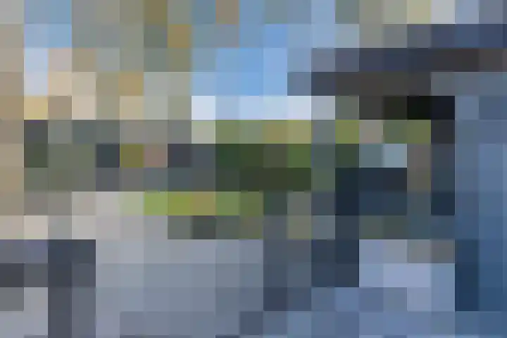 De Vucht 56 Rijen thumbnail 36