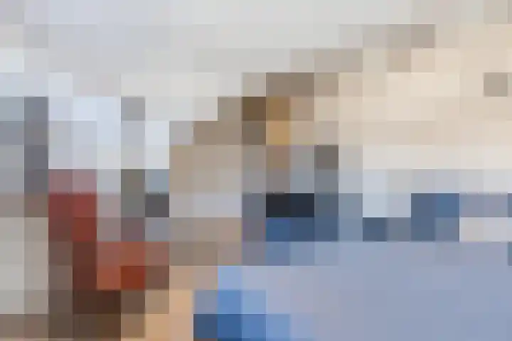 De Vucht 56 Rijen thumbnail 43