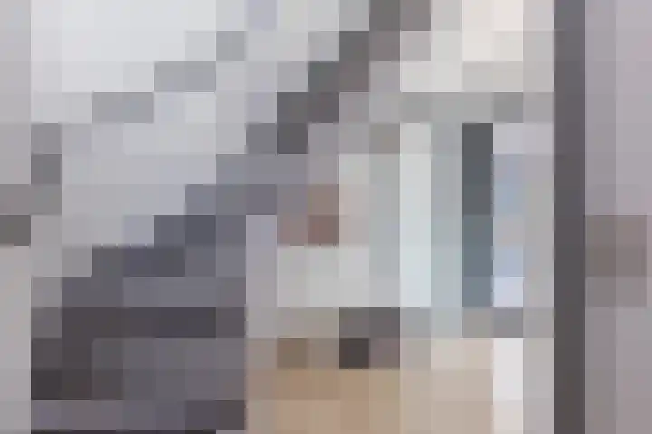 De Vucht 56 Rijen thumbnail 6