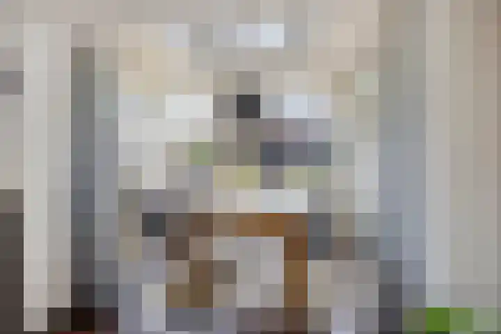 De Vuurdoorn 12 Beek en Donk thumbnail 10