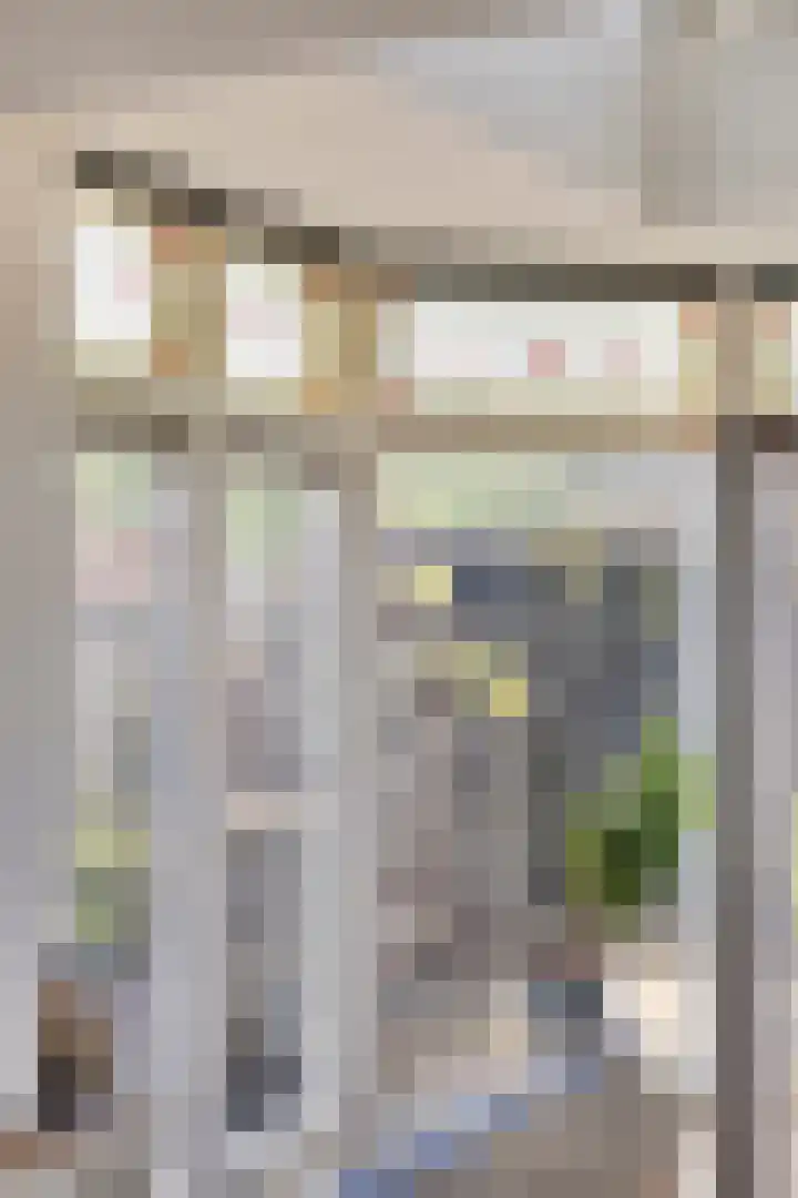 De Vuurdoorn 12 Beek en Donk thumbnail 11