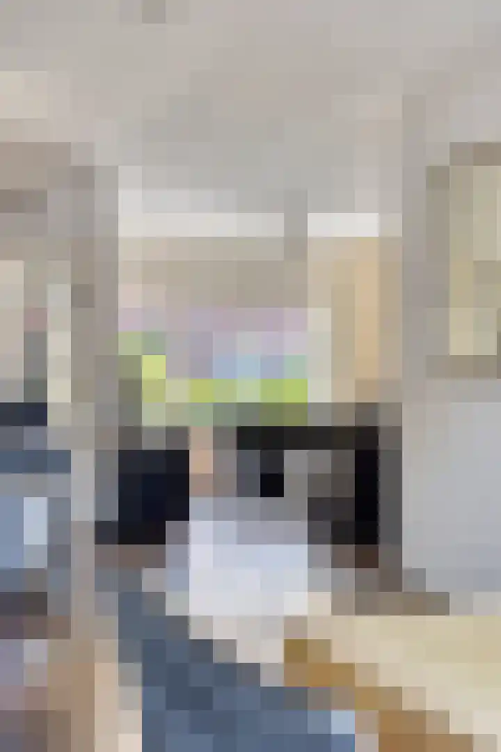De Vuurdoorn 12 Beek en Donk thumbnail 12