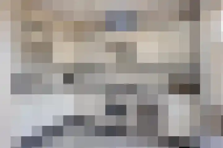 De Vuurdoorn 12 Beek en Donk thumbnail 13