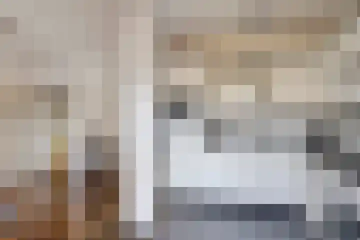 De Vuurdoorn 12 Beek en Donk thumbnail 14