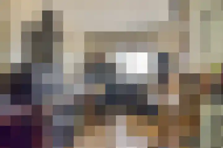 De Vuurdoorn 12 Beek en Donk thumbnail 21