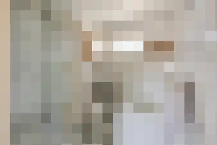 De Vuurdoorn 12 Beek en Donk thumbnail 23