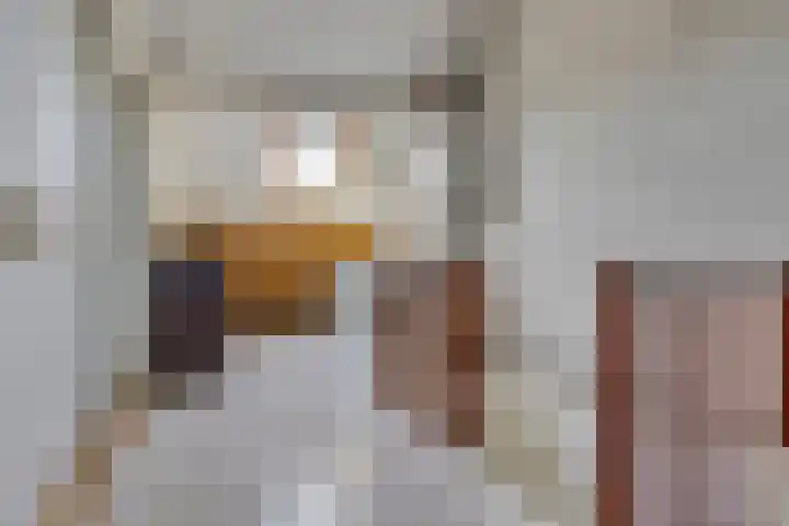 De Vuurdoorn 12 Beek en Donk thumbnail 26