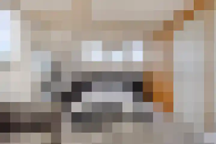 De Vuurdoorn 12 Beek en Donk thumbnail 27