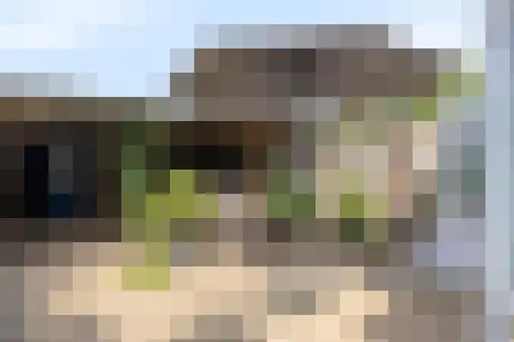 De Vuurdoorn 12 Beek en Donk thumbnail 28