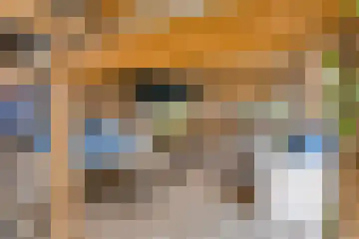De Vuurdoorn 12 Beek en Donk thumbnail 29