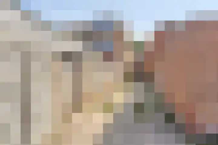 De Vuurdoorn 12 Beek en Donk thumbnail 30