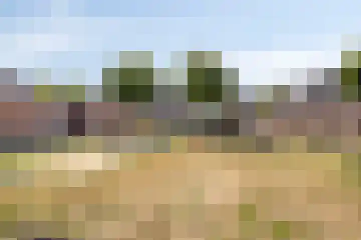 De Vuurdoorn 12 Beek en Donk thumbnail 33