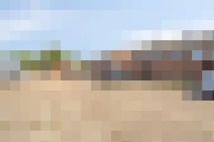 De Vuurdoorn 12 Beek en Donk thumbnail 34