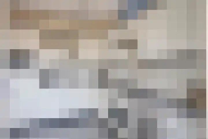 De Vuurdoorn 12 Beek en Donk thumbnail 4