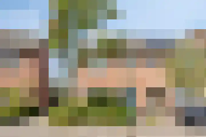 De Vuurdoorn 12 Beek en Donk thumbnail 5