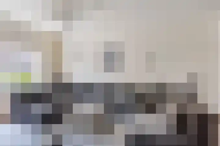 De Vuurdoorn 12 Beek en Donk thumbnail 8