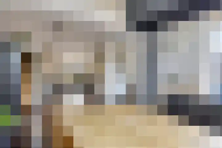 De Vuurdoorn 12 Beek en Donk thumbnail 9