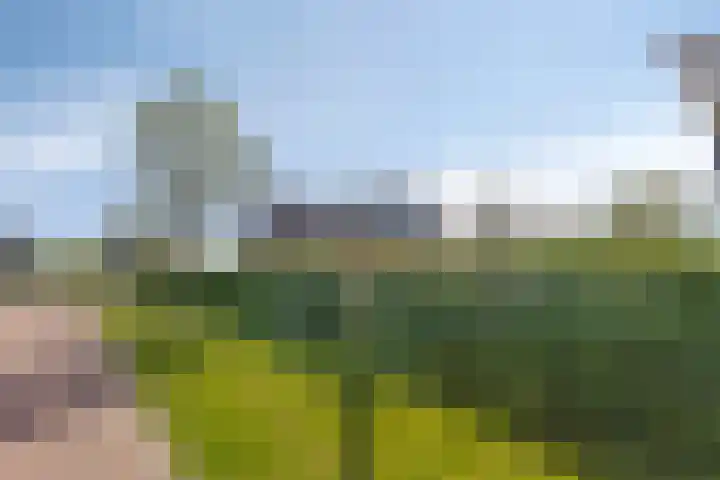 De Vuurjuffer 11 Eelderwolde thumbnail 4