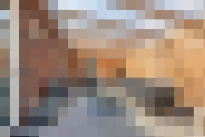 De Vuurjuffer 11 Eelderwolde thumbnail 66