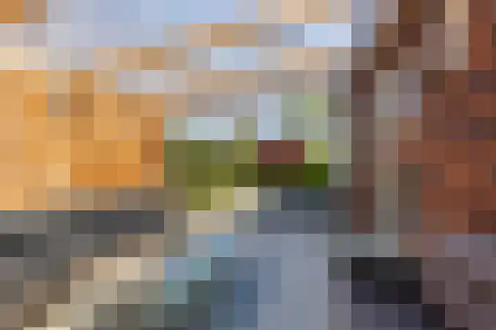 De Vuurjuffer 11 Eelderwolde thumbnail 67