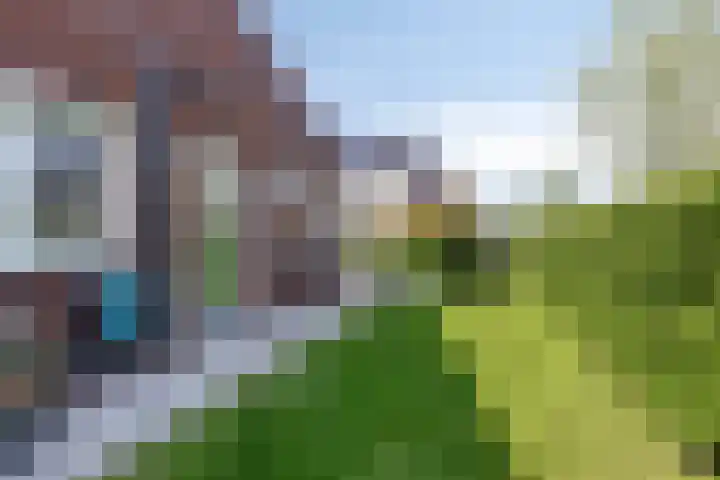 De Vuurjuffer 11 Eelderwolde thumbnail 71