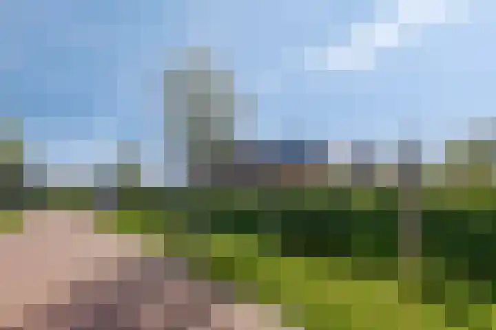 De Vuurjuffer 11 Eelderwolde thumbnail 72