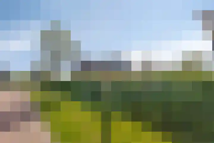 De Vuurjuffer 11 Eelderwolde thumbnail 76