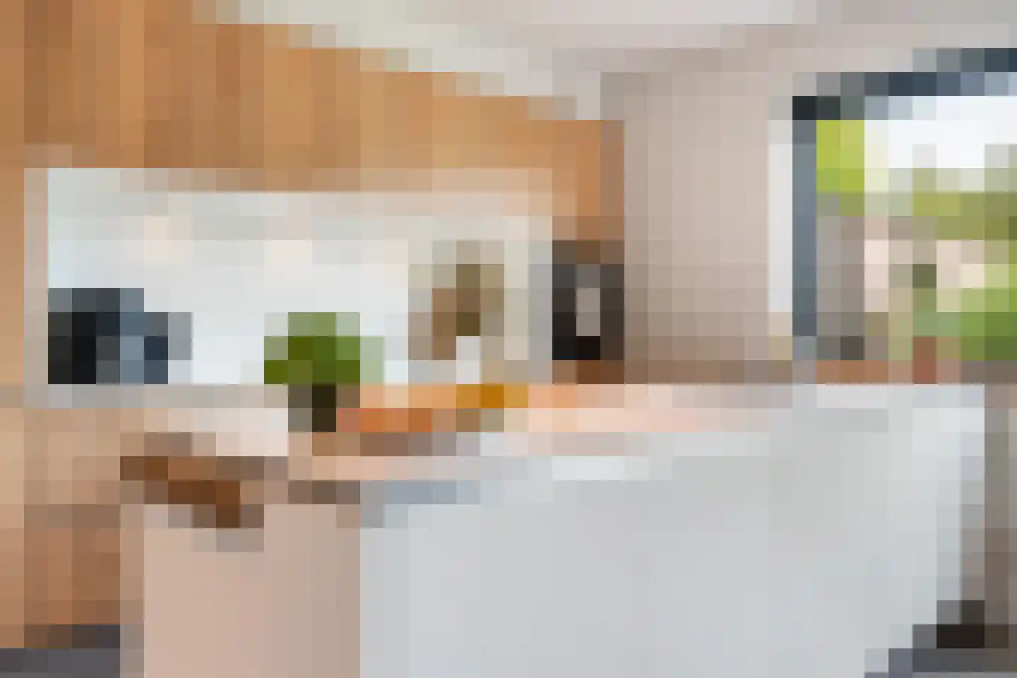 De Vuurjuffer 3 Eelderwolde thumbnail 18