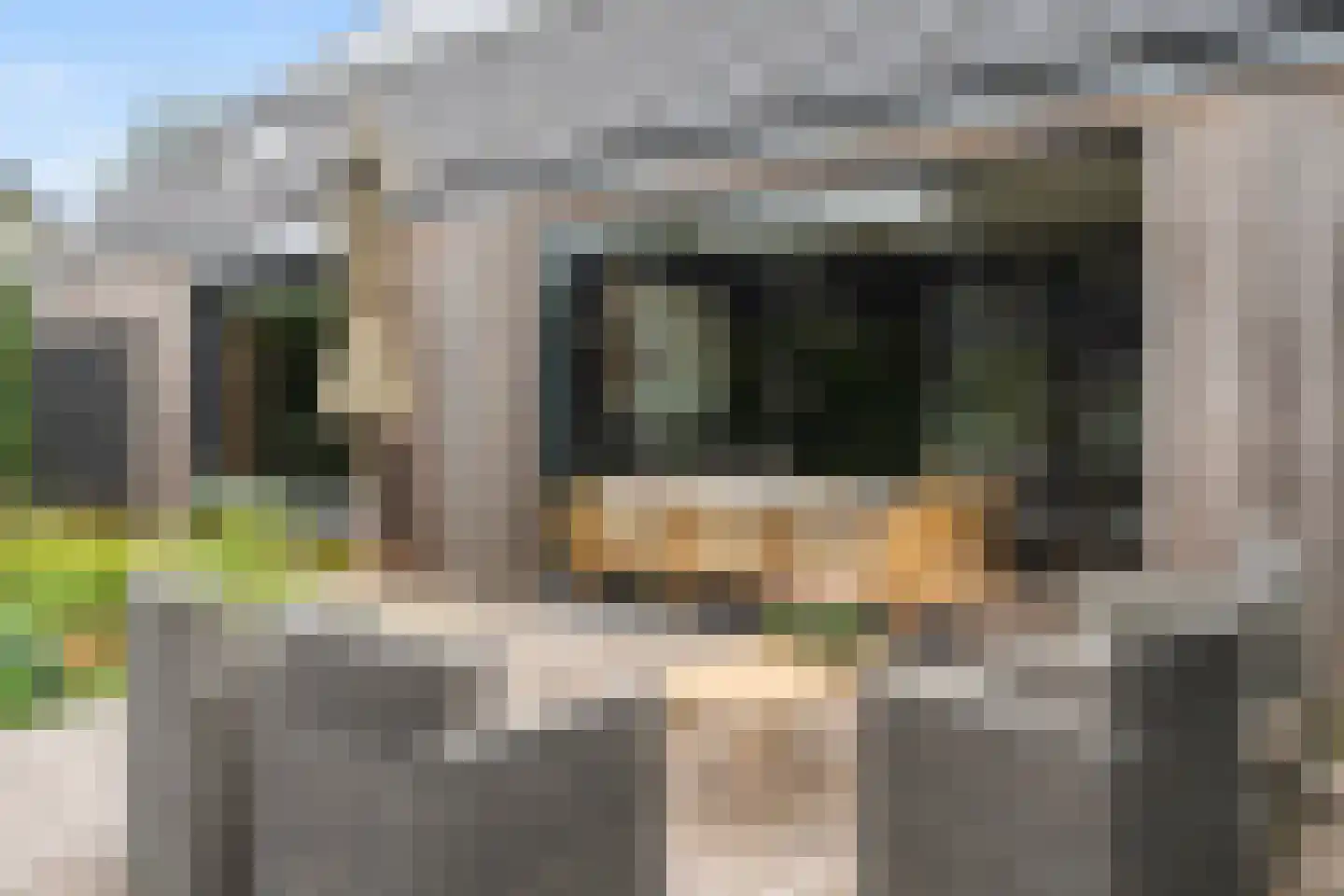 De Vuurjuffer 3 Eelderwolde thumbnail 43