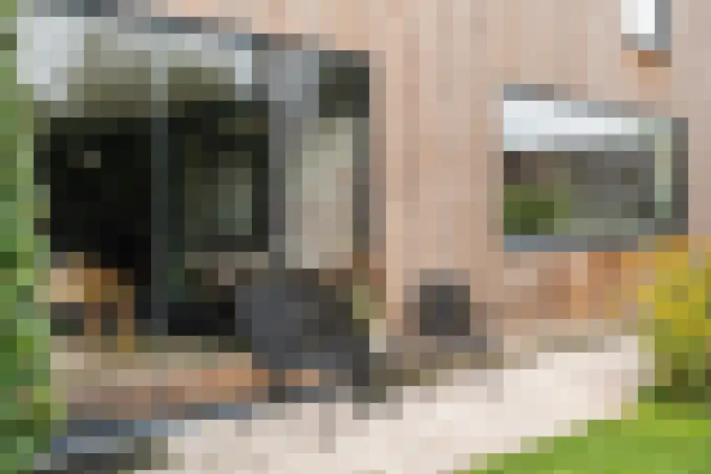 De Vuurjuffer 3 Eelderwolde thumbnail 46