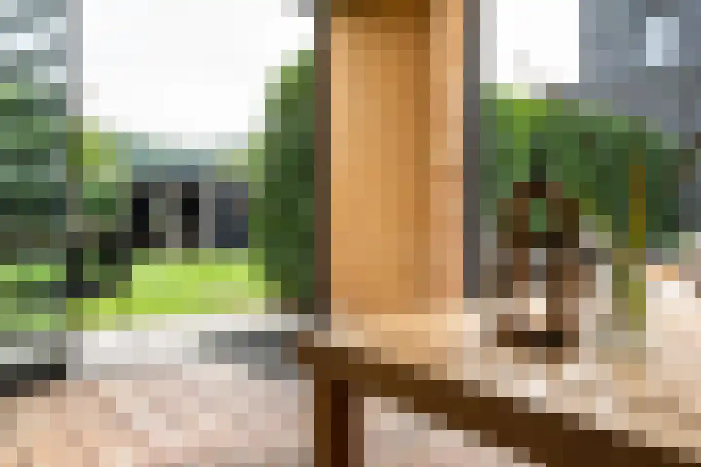 De Vuurjuffer 3 Eelderwolde thumbnail 47