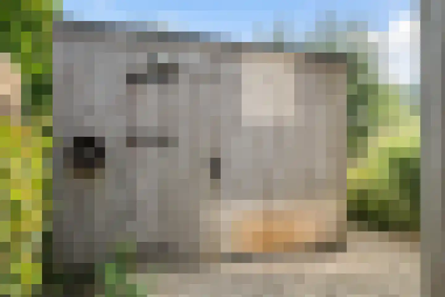 De Vuurjuffer 3 Eelderwolde thumbnail 50