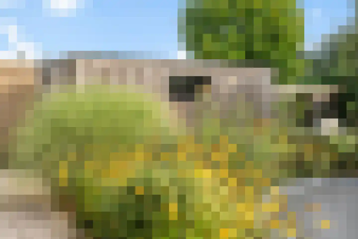 De Vuurjuffer 3 Eelderwolde thumbnail 51